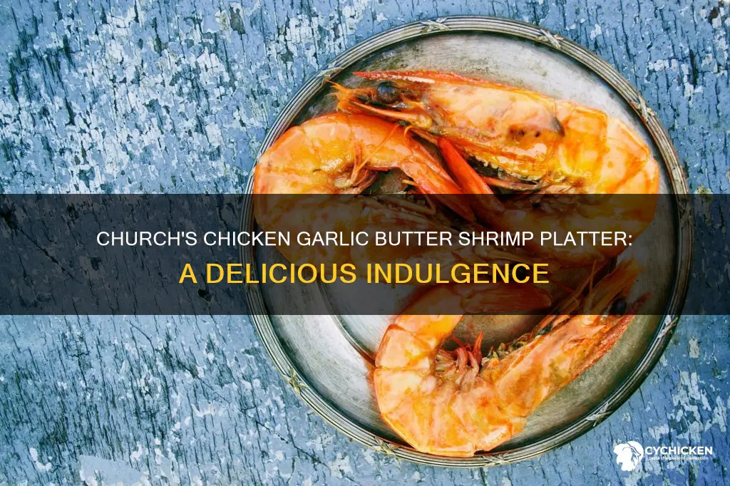 what is church