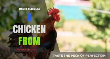 Unraveling the Origins of Clucking Like a Chicken: A Fascinating Exploration