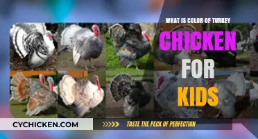 Discovering the True Color of Turkey and Chicken for Curious Kids