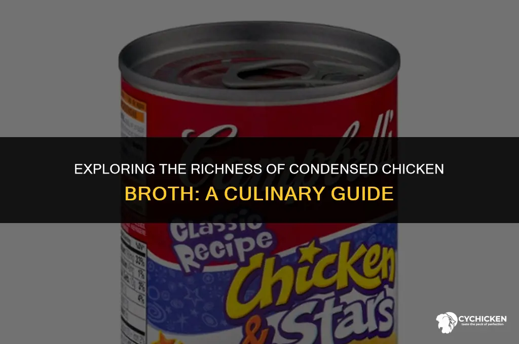 what is condenced chicken broth