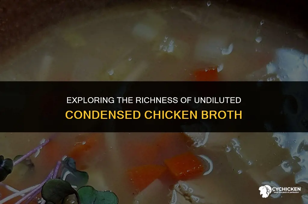 what is condensed chicken broth undiluted