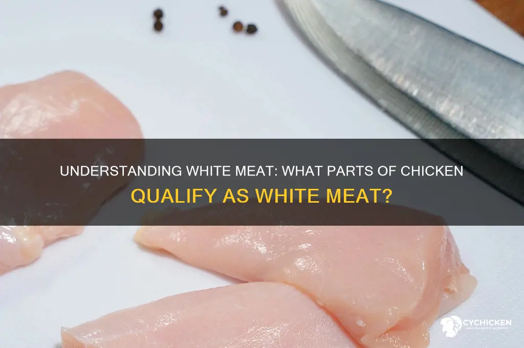 what is consider white meat on chicken