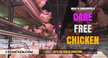 Understanding Cage-Free Chickens: What It Means and Why It Matters