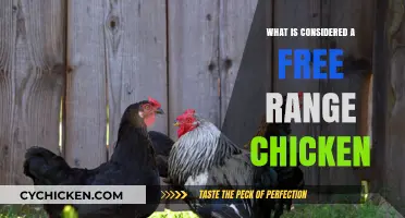 Understanding Free Range Chickens: Definition, Benefits, and Farming Practices