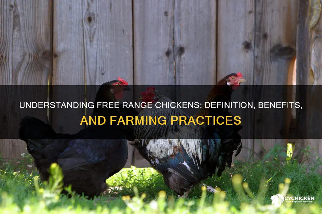 what is considered a free range chicken