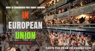 Free-Range Chicken: EU Standards and Regulations