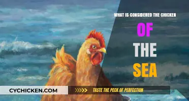 Unveiling the Ocean's Poultry: What is the Chicken of the Sea?