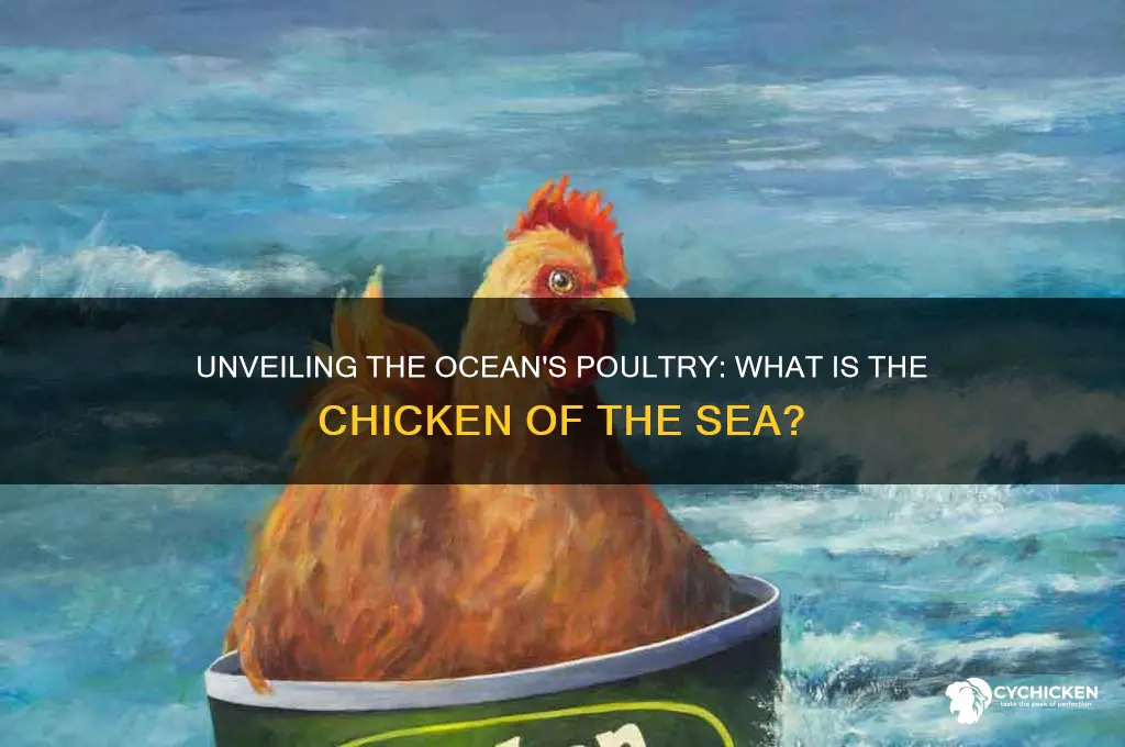 what is considered the chicken of the sea