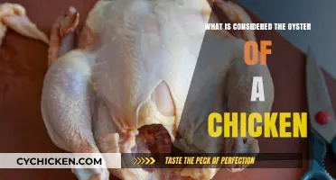 Unveiling the Chicken's Oyster: A Culinary Delight Explained