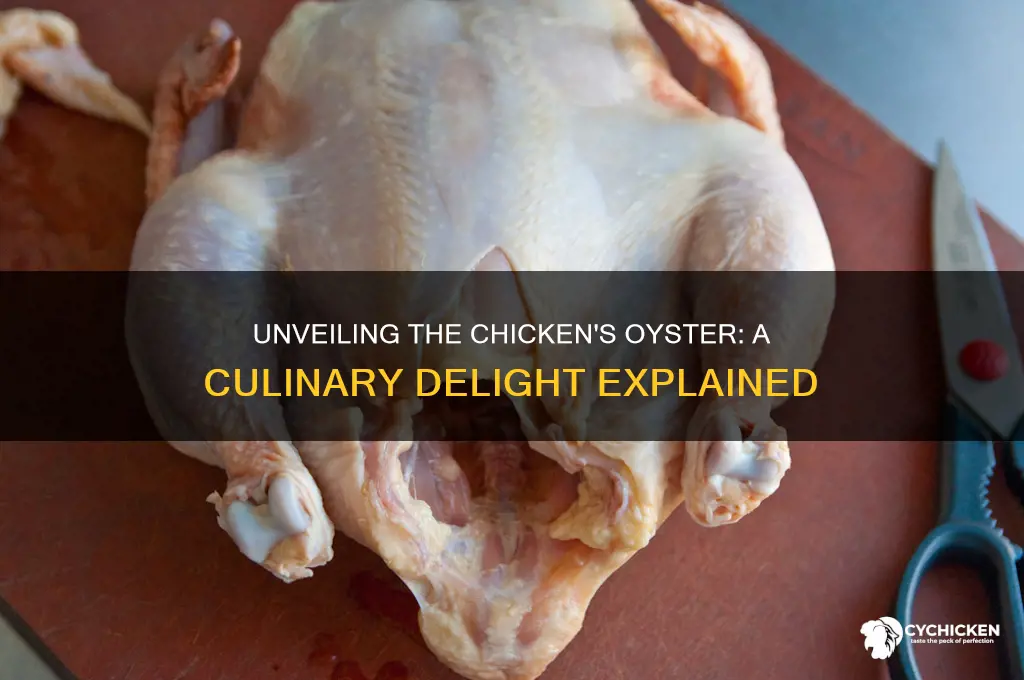 what is considered the oyster of a chicken