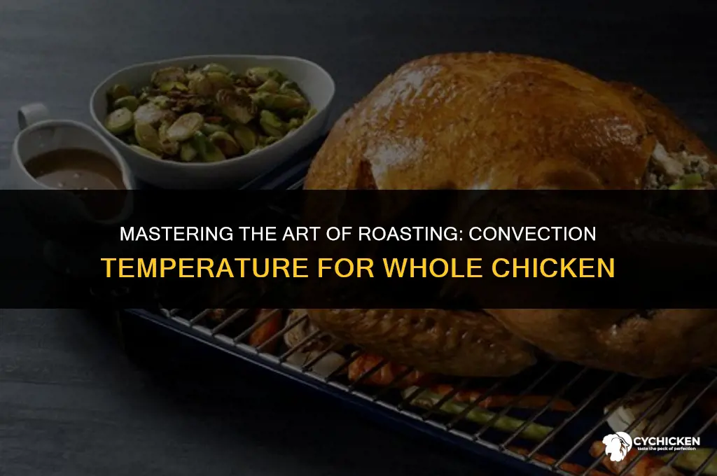 what is convection temperature for cooking whole chicken