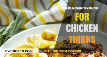 Perfect Chicken Thighs: Mastering the Ideal Cooking Temperature Guide