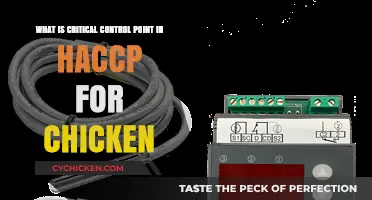 CCP in HACCP for Chicken: What You Need to Know