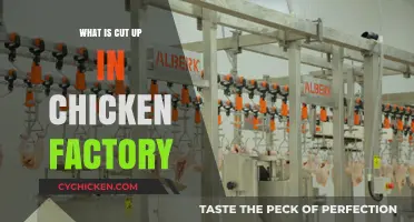 Inside Chicken Factories: The Process of Cutting Up Poultry Explained
