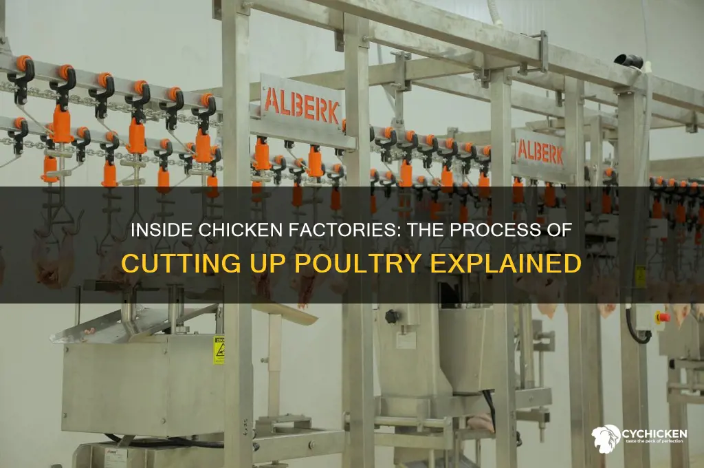 what is cut up in chicken factory