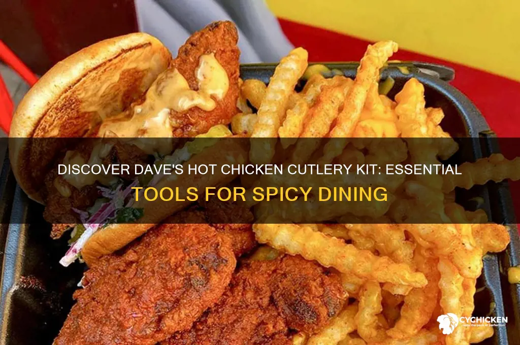 what is cutlery kit dave