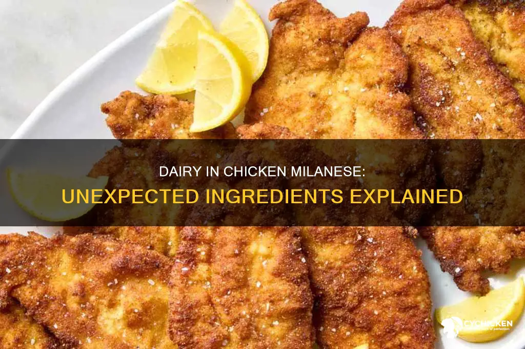 what is dairy in a chicken milanese