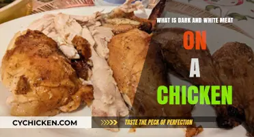Chicken Meat Mystery: Dark vs. White