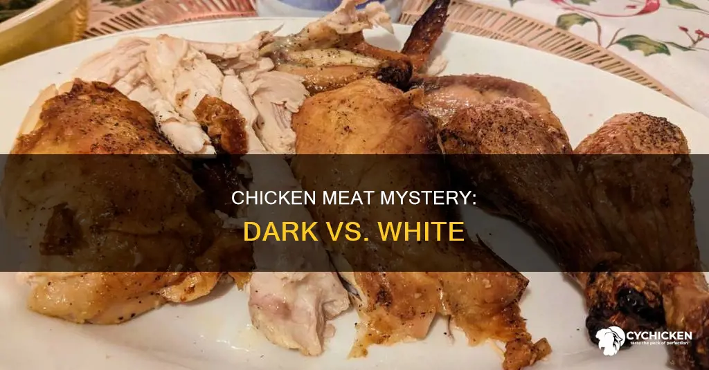 what is dark and white meat on a chicken