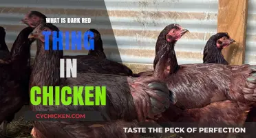 Unveiling the Mystery: What's the Dark Red Thing in Chicken?