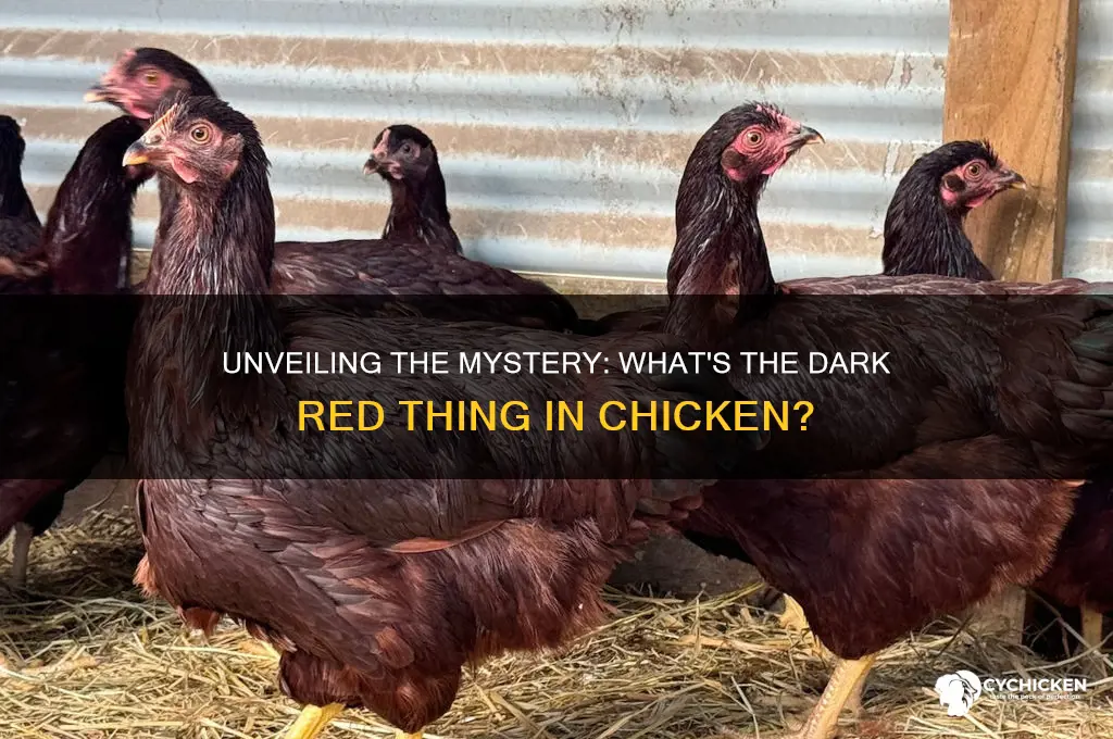 what is dark red thing in chicken