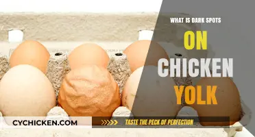 Understanding Dark Spots on Chicken Yolks: Causes and Safety Explained