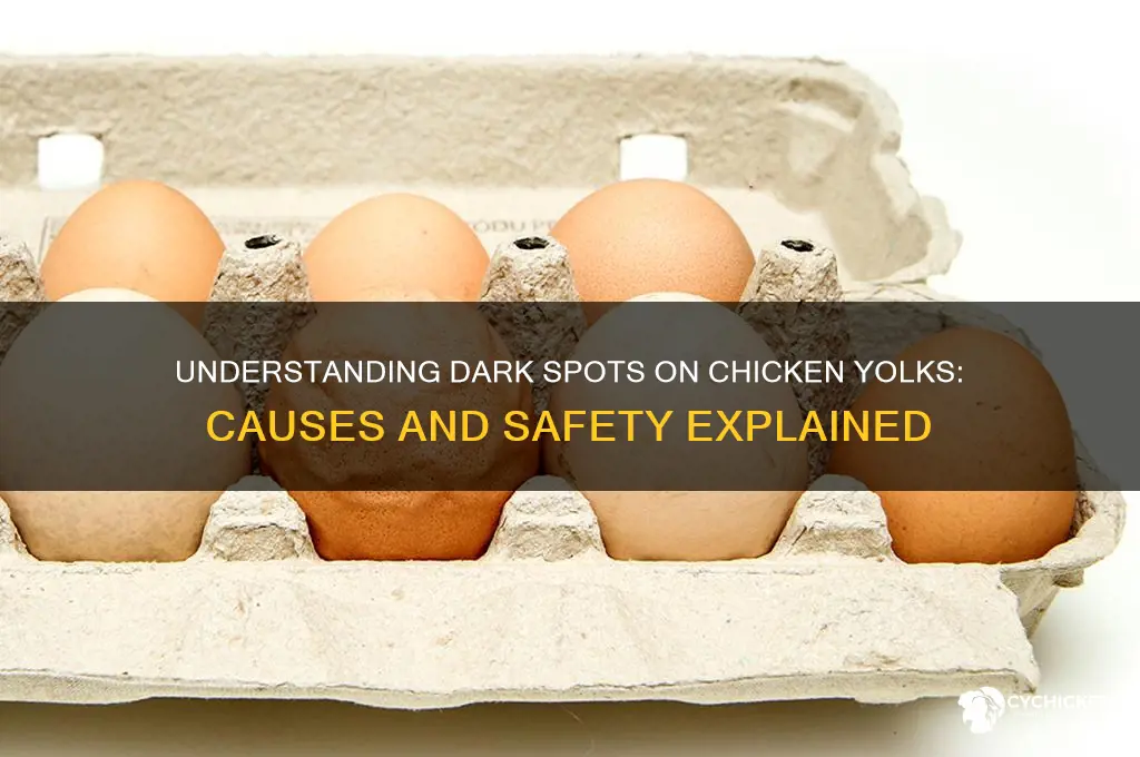 what is dark spots on chicken yolk