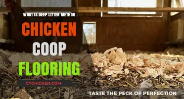 Exploring the Deep Litter Method for Chicken Coop Flooring