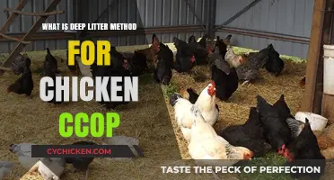 Mastering the Deep Litter Method for Chicken Coops: A Comprehensive Guide