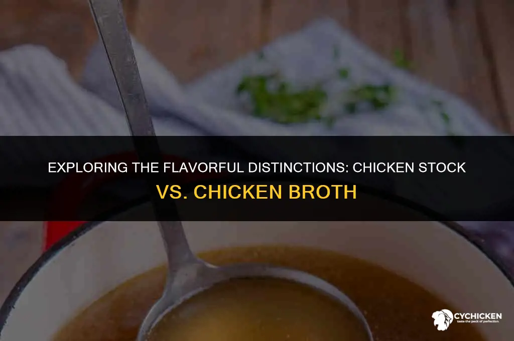 what is difference berween chicken stock and chicken broth