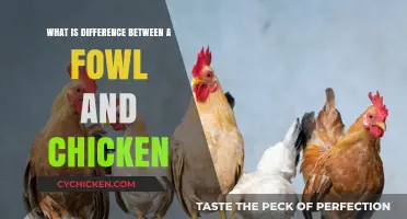 Fowl vs. Chicken: Understanding the Key Differences and Similarities
