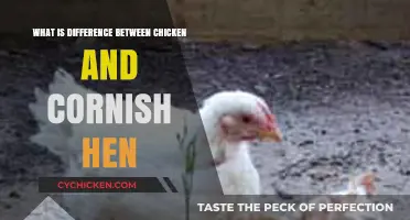 Chicken vs. Cornish Hen: Key Differences Explained Simply