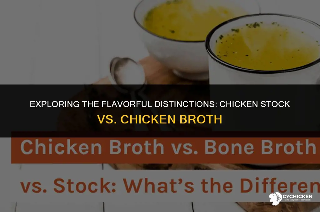 what is difference between chicken stock and chichen broth