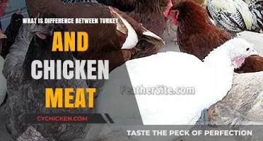 Turkey vs. Chicken: Key Differences in Taste, Nutrition, and Cooking