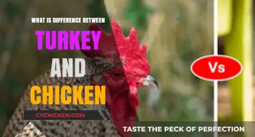 Turkey vs. Chicken: Key Differences in Taste, Nutrition, and Uses