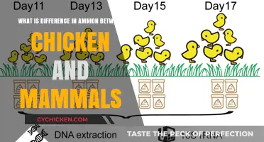 Chicken vs Mammals: The Amnion Difference