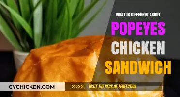 Popeyes Chicken Sandwich: Unique Ingredients, Flavor, and Hype Explained