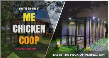 Uncovering the Culprits: What's Digging at My Chicken Coop?