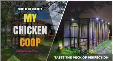 Unwanted Visitors: How to Identify and Deter Predators from Your Chicken Coop