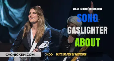 Gaslighter Explained: Unraveling the Meaning Behind Dixie Chicks' New Song