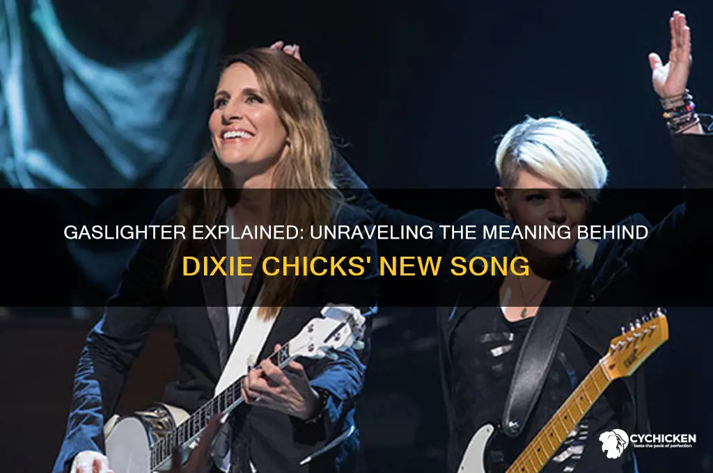 what is dixie chicks new song gaslighter about
