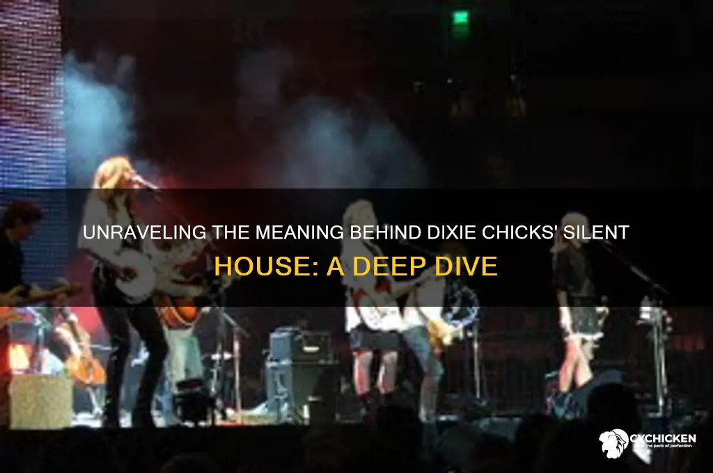 what is dixie chicks silent house about