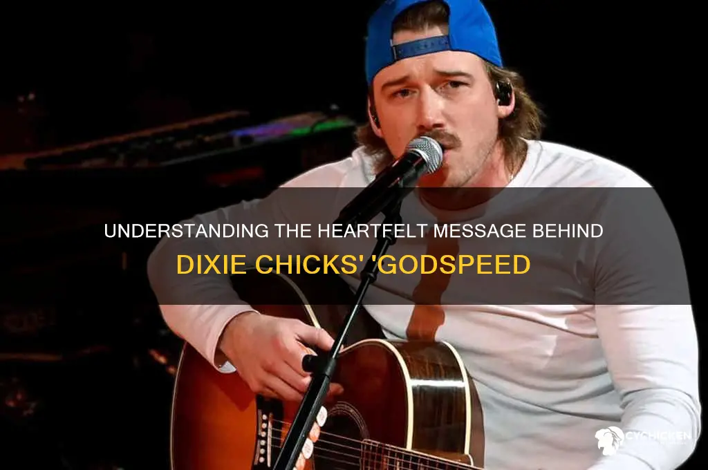 what is dixie chicks song godspeed about
