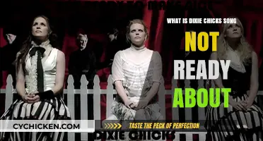 Unraveling the Heartache: What is Dixie Chicks' 'Not Ready' About?