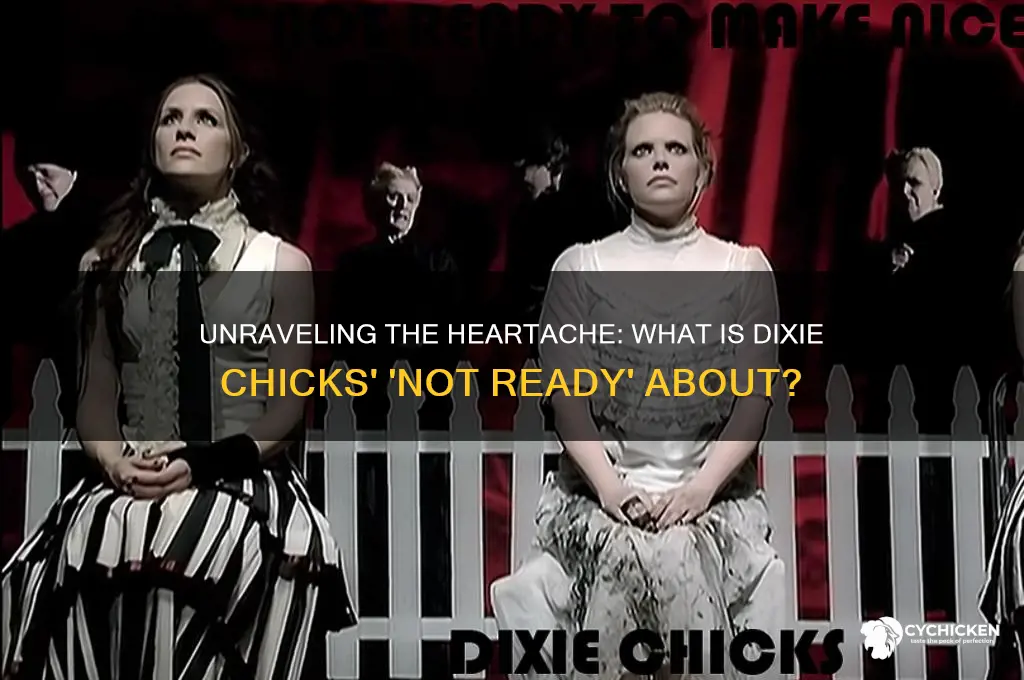 what is dixie chicks song not ready about