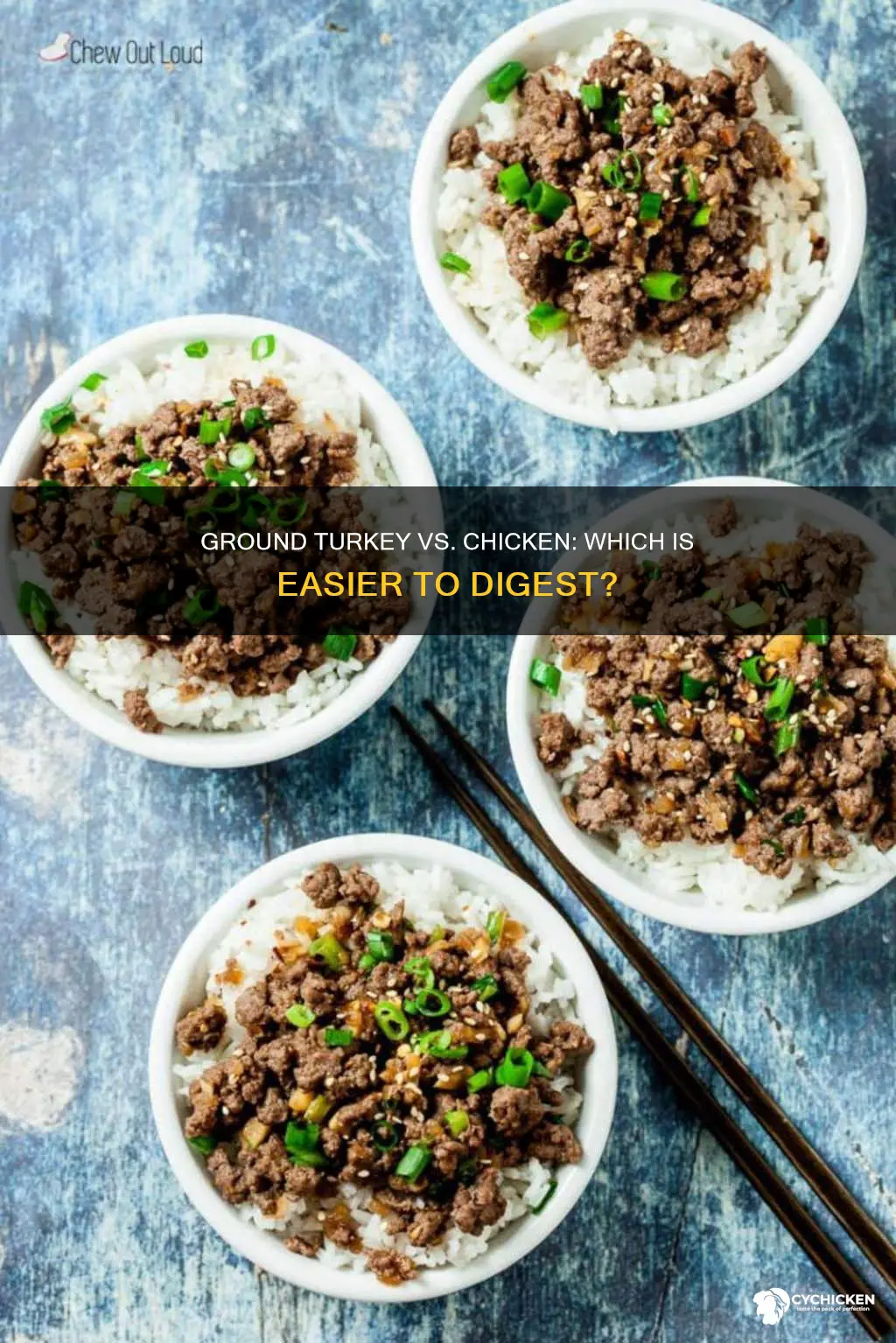 what is easier for digestion ground chicken or ground turkey