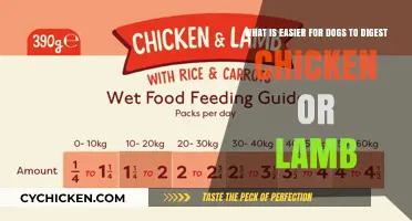 Chicken or Lamb: Which Meat is Easier for Dogs to Digest?