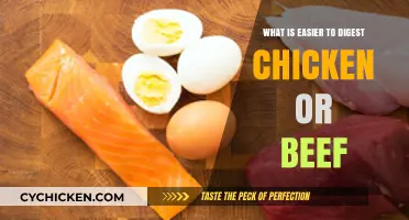 Chicken vs. Beef: Which Protein is Easier to Digest?