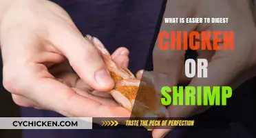 Chicken vs. Shrimp: Which Protein is Easier to Digest?
