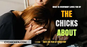 The Chicks' Anthem: Everybody Loves You